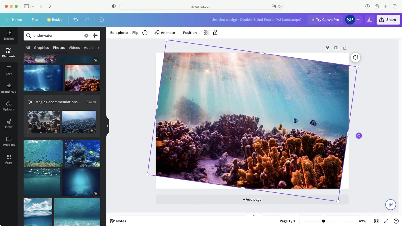 Dashboard Canva avec templates et designs récents